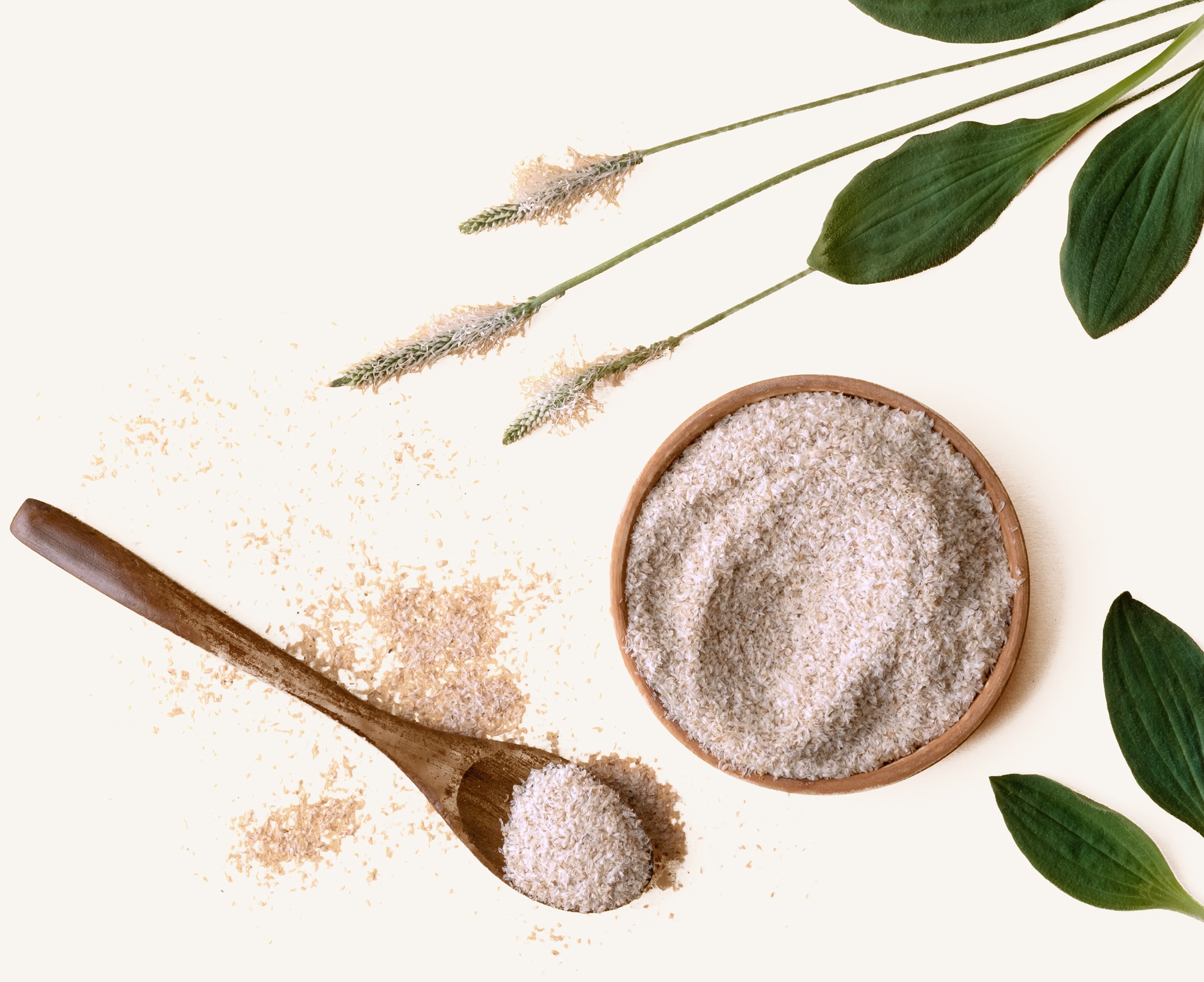 Schüssel mit Flohsamenschalen und Psylliumpflanze